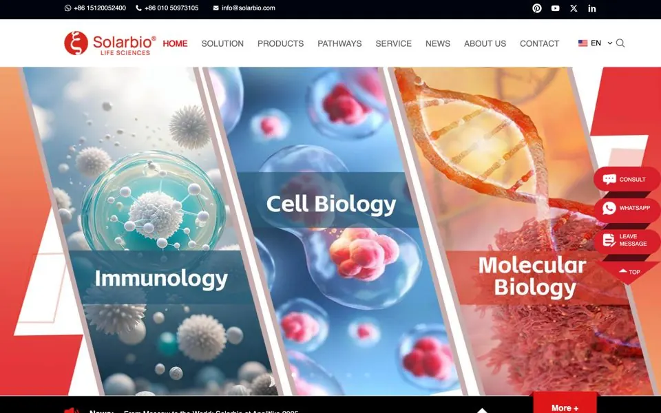 Solarbio官网预览